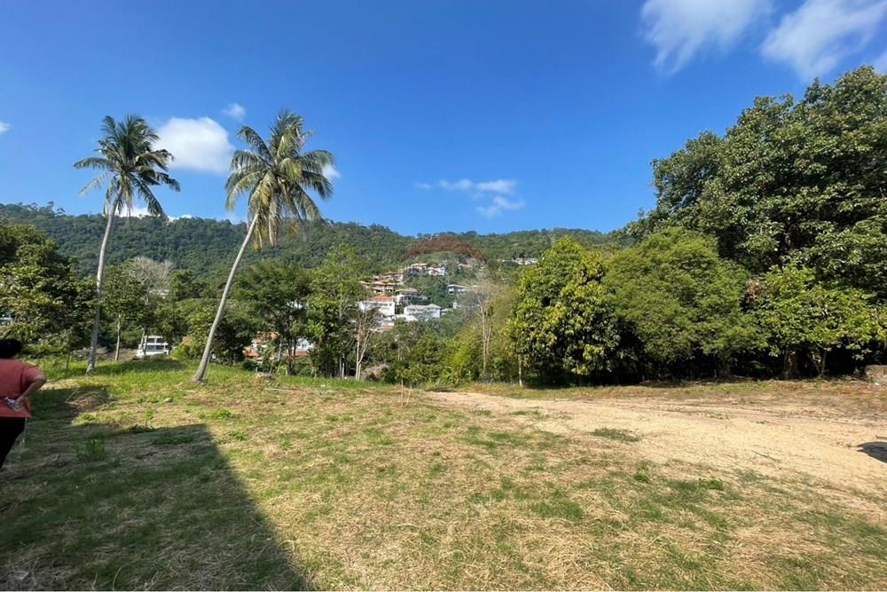 Land - Residential - For Sale - Koh Samui, Surat Thani - IMG_6351.jpeg - 920121079-48