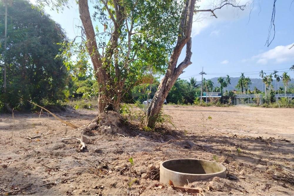 Land - Residential - For Sale - Koh Samui, Surat Thani - 655592_0.jpg - 920121075-106
