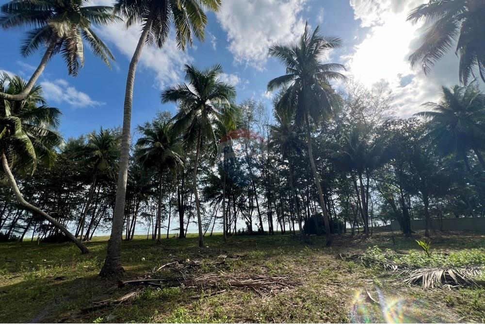 Land - Residential - For Sale - Tha Sala, Nakhon Si Thammarat - S__201138188_0.jpg - 920121030-282