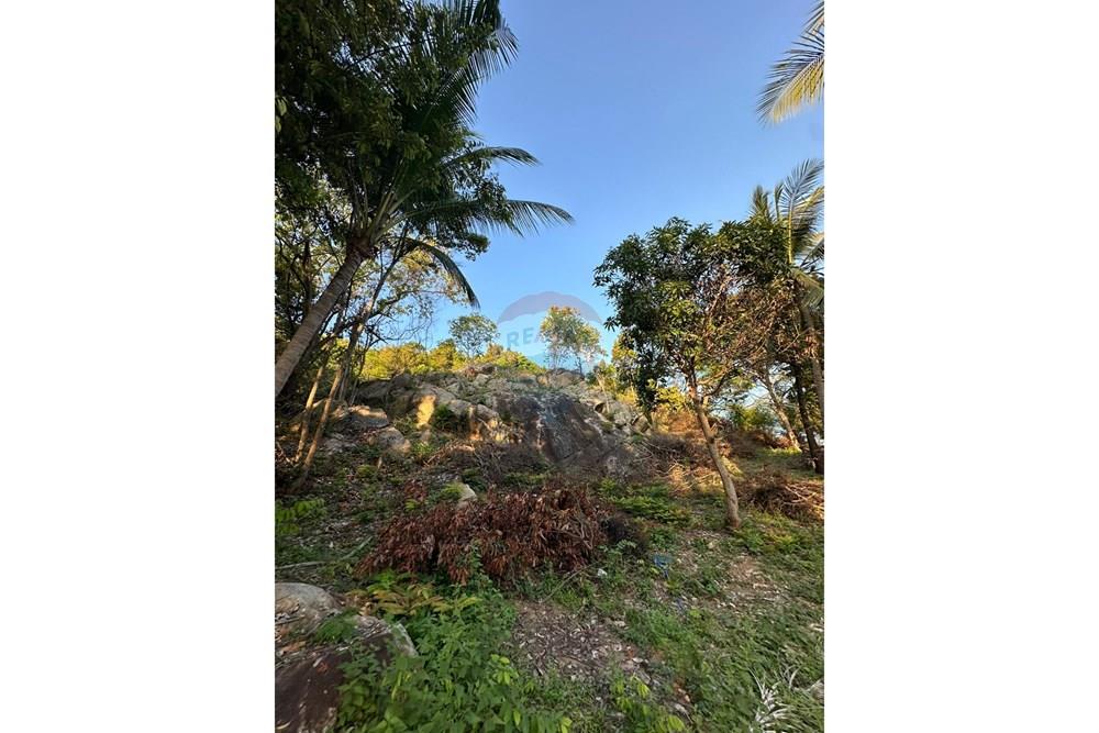 土地 - 出售 - Koh Pha Ngan, Surat Thani - WhatsApp Image 2026-03-13 at 12.04.57.jpeg - 920621004-171