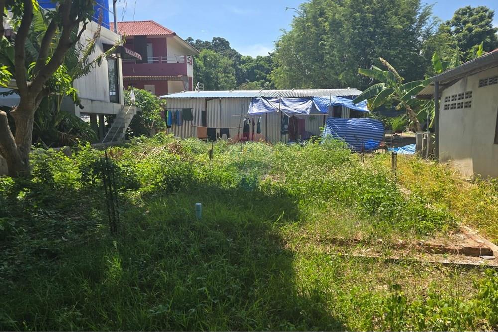 Land - Residential - For Sale - Koh Samui, Surat Thani - IMG-20250910-WA0018.jpg - 920121057-162