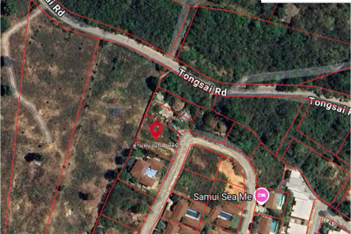 Land - Residential - For Sale - Koh Samui, Surat Thani - Screenshot 2569-06-08 at 15.46.53.jpg - 920121077-31