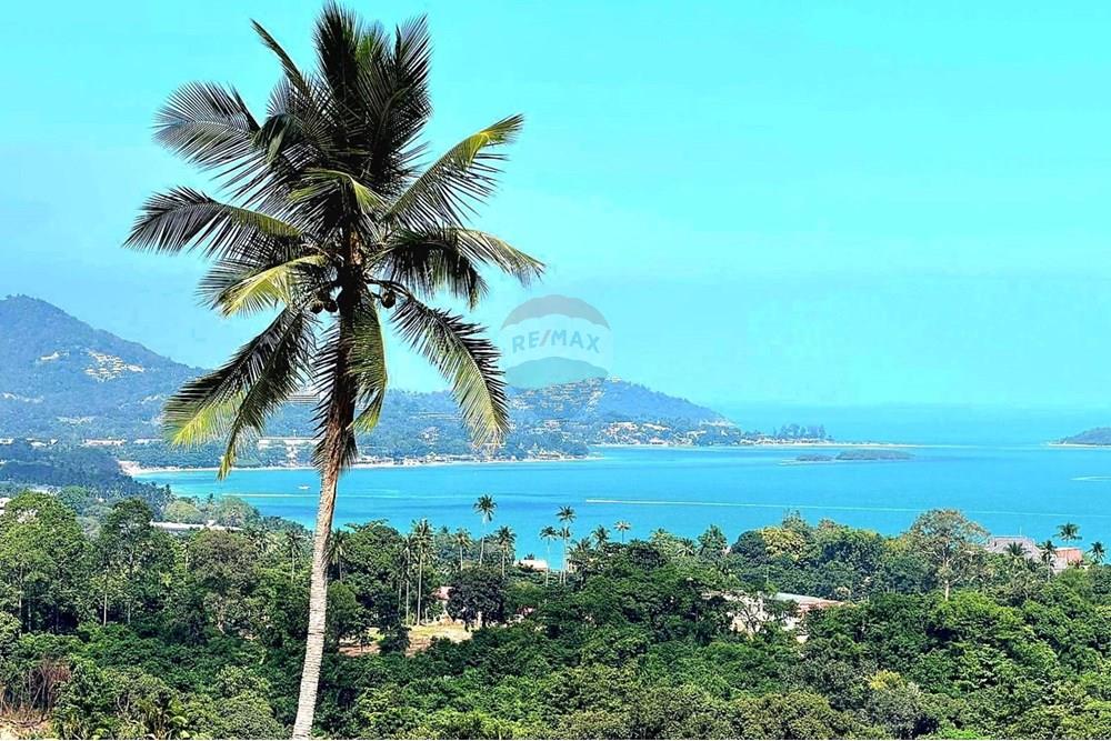 Land - Residential - For Sale - Koh Samui, Surat Thani - 598325545_10223873035013576_1704339271985821650_n.jpg - 920121018-321