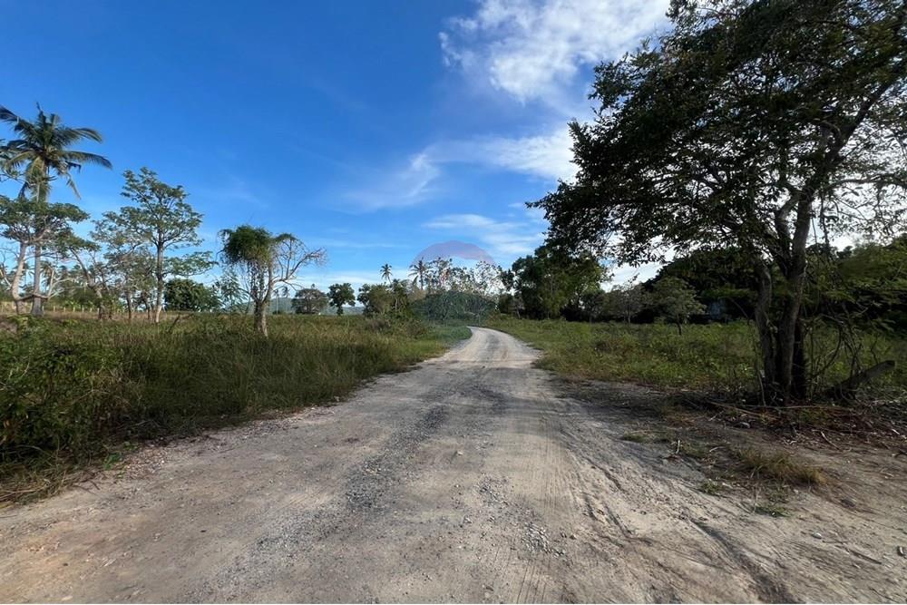 Land - Residential - For Sale - Koh Samui, Surat Thani - S__26820670.jpg - 920121030-278