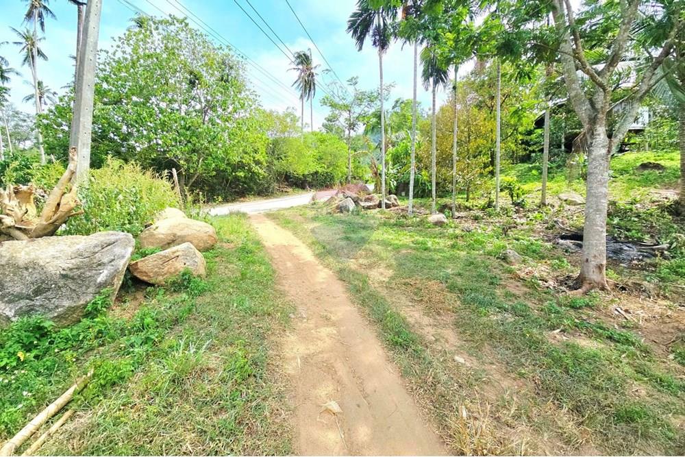 Land - Residential - For Sale - Koh Samui, Surat Thani - 005.jpg - 920121018-328