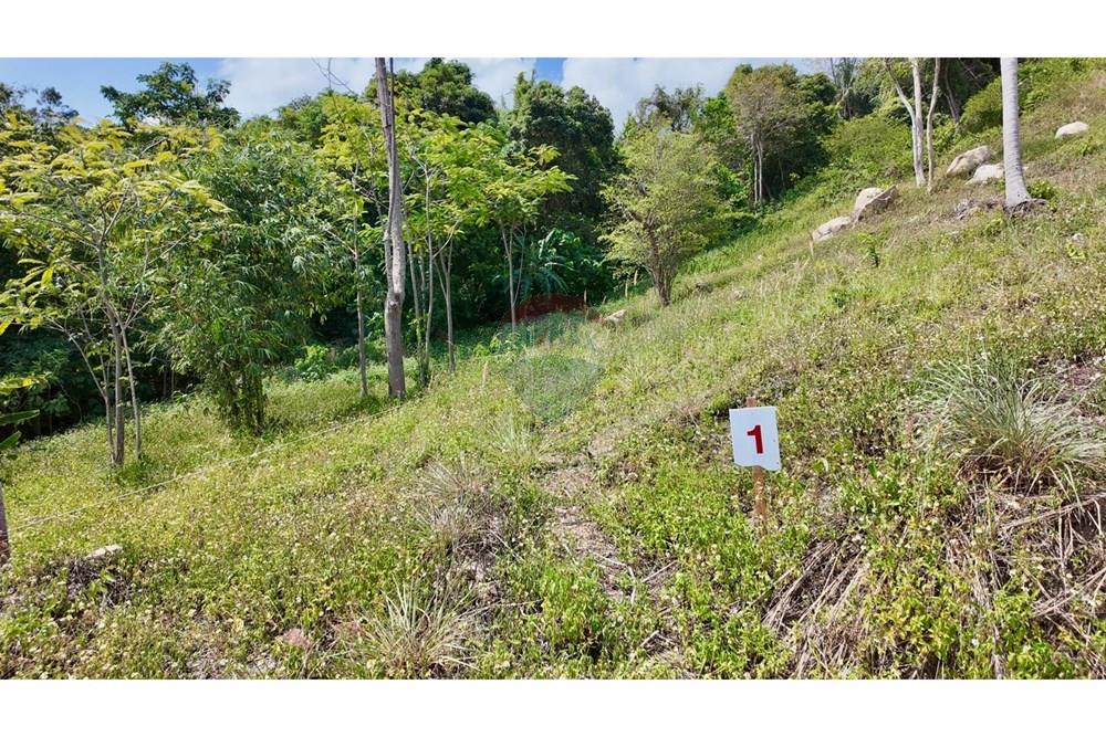 Land - Residential - For Sale - Koh Samui, Surat Thani - Plot 1.jpg - 920121001-3514