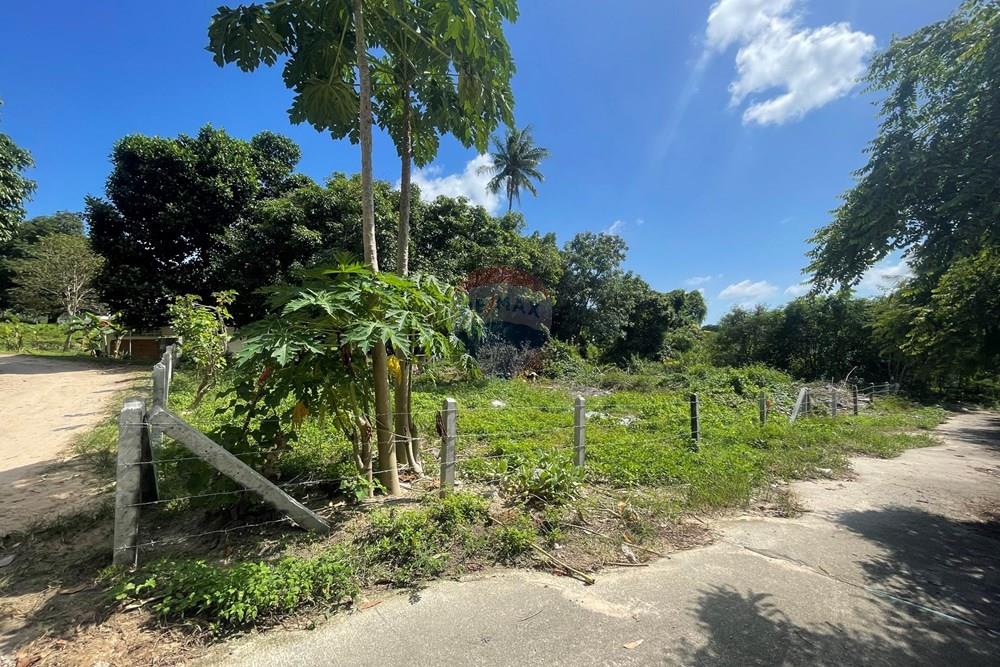 Land - Residential - For Sale - Koh Samui, Surat Thani - IMG_2047.jpeg - 920121079-10