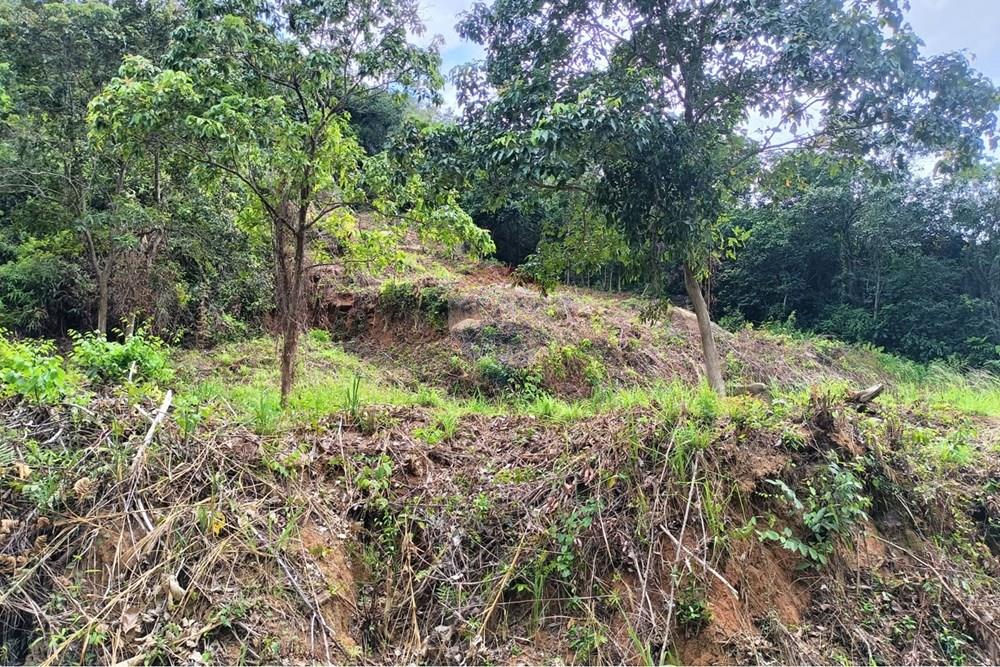 Land - Residential - For Sale - Koh Samui, Surat Thani - WhatsApp Image 2025-09-30 at 15.42.36_7f8c331b.jpg - 920121083-65