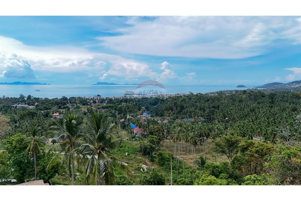Land - Residential - For Sale - Koh Samui, Surat Thani - Copy of DJI_20251012135556_0028_D.jpg - 920121075-101