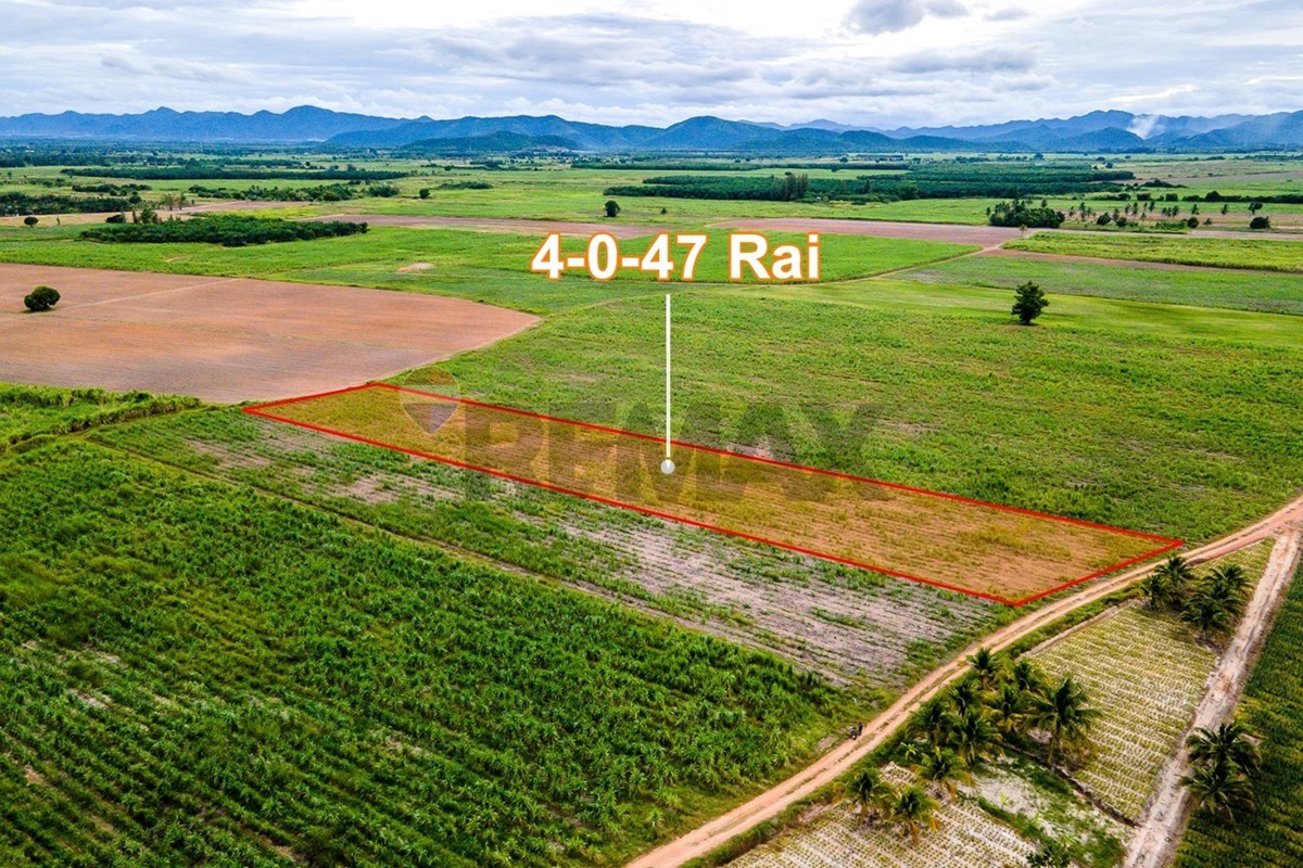 Land - Residential - For Sale - Hua Hin, Prachuap Khiri Khan - 1657190837976.jpg - 920601001-1236