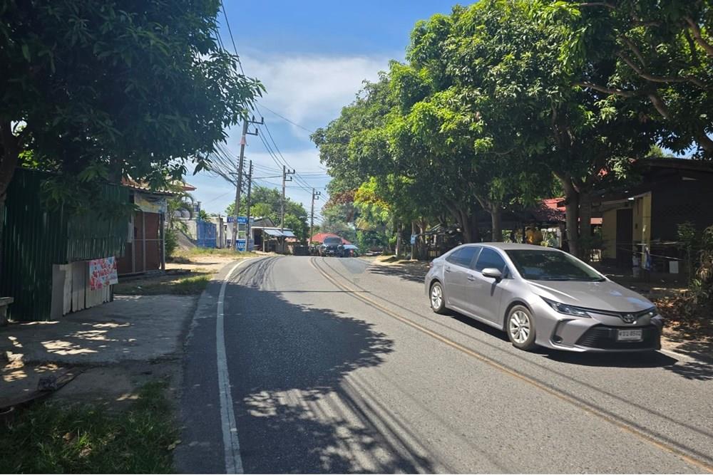 Land - Residential - For Sale - Koh Samui, Surat Thani - IMG-20250910-WA0014.jpg - 920121057-162