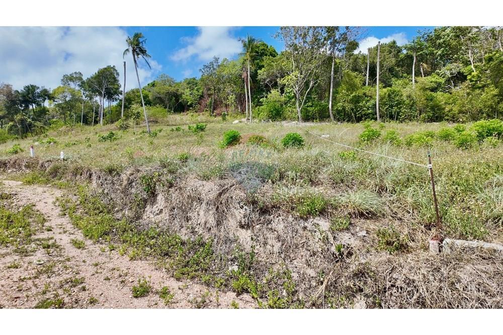 Land - Residential - For Sale - Koh Samui, Surat Thani - LINE_ALBUM_Land @MaeNam_260325_18.jpg - 920121001-3514