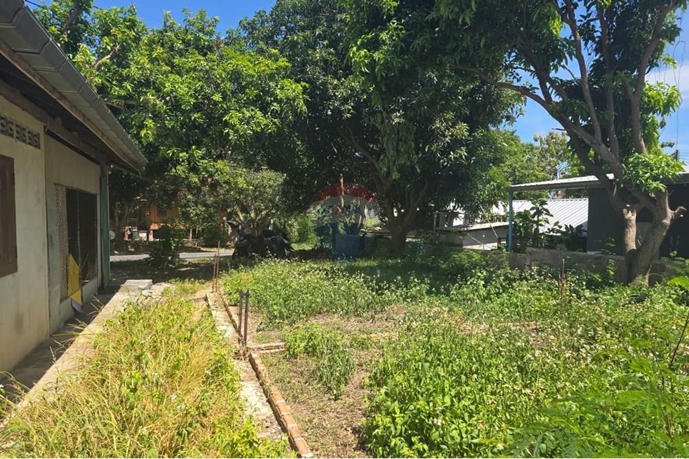 Land - Residential - For Sale - Koh Samui, Surat Thani - IMG-20250910-WA0010.jpg - 920121057-162