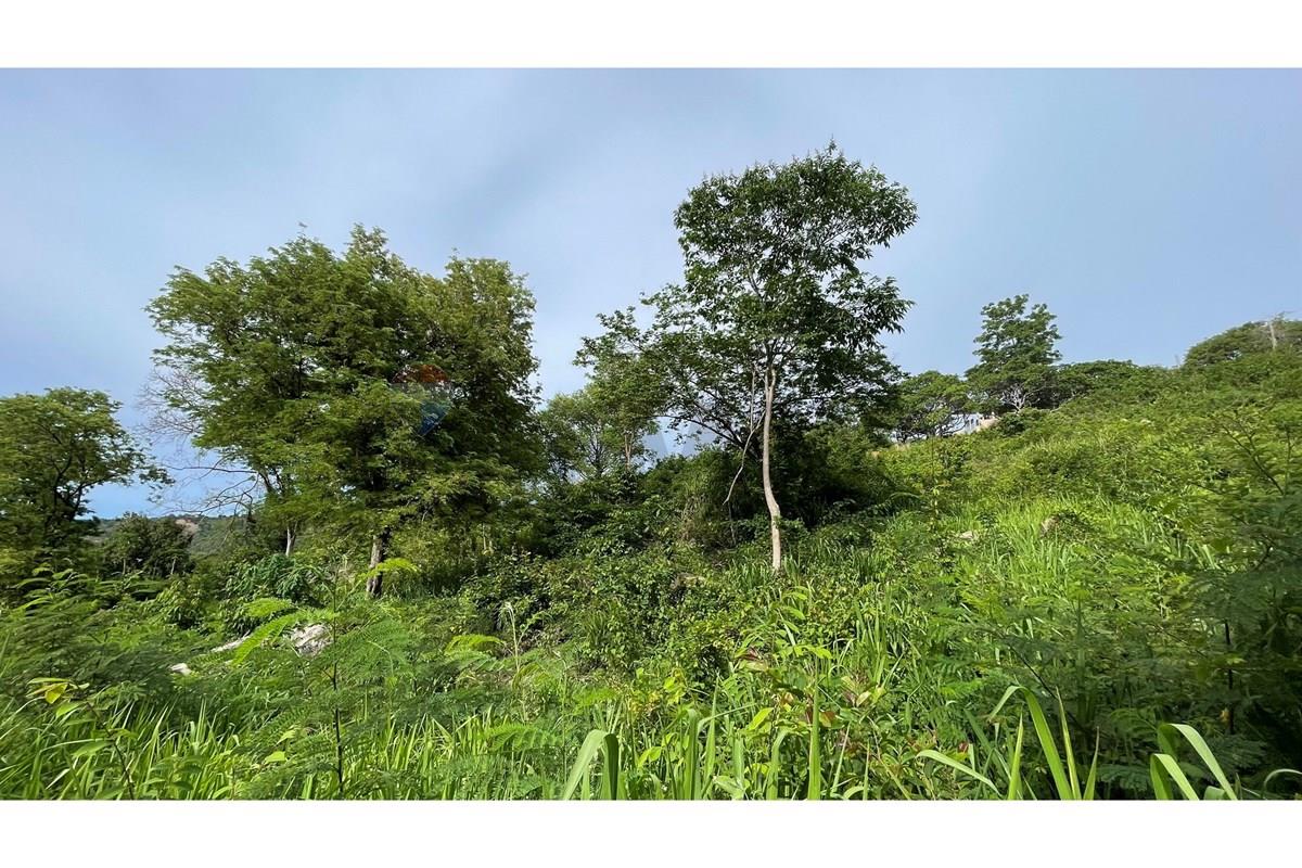 Land - Residential - For Sale - Koh Samui, Surat Thani - IMG_4732.jpeg - 920121068-103