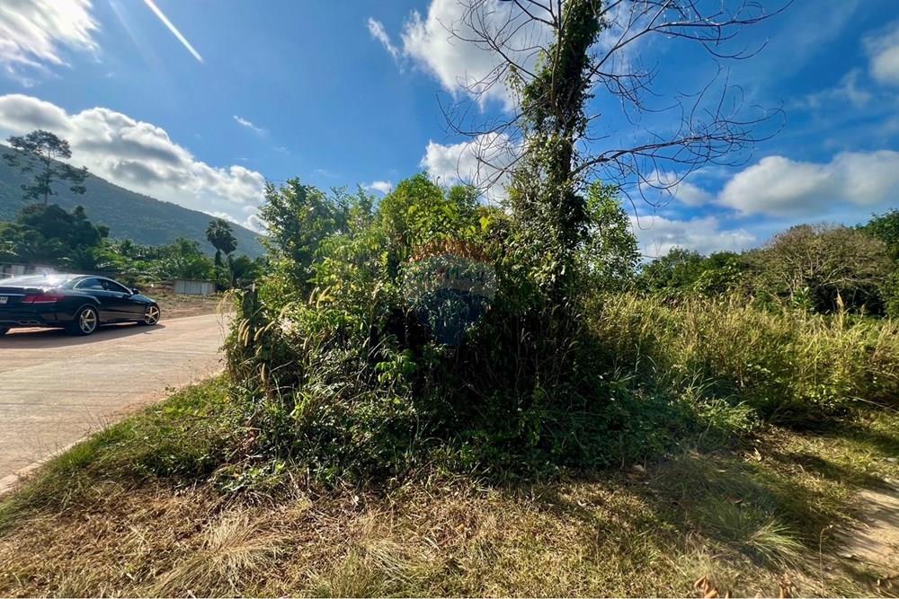 Land - Residential - For Sale - Koh Samui, Surat Thani - S__206618648_0.jpg - 920121030-298