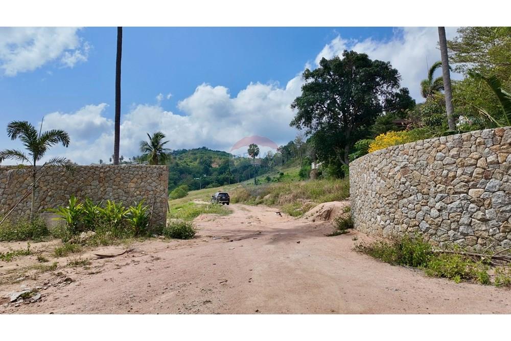 Land - Residential - For Sale - Koh Samui, Surat Thani - LINE_ALBUM_Land @MaeNam_260325_38.jpg - 920121001-3514