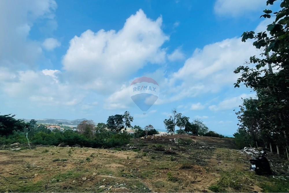 Land - Residential - For Rent/Lease - Koh Samui, Surat Thani - IMG_5799.jpeg - 920121079-45