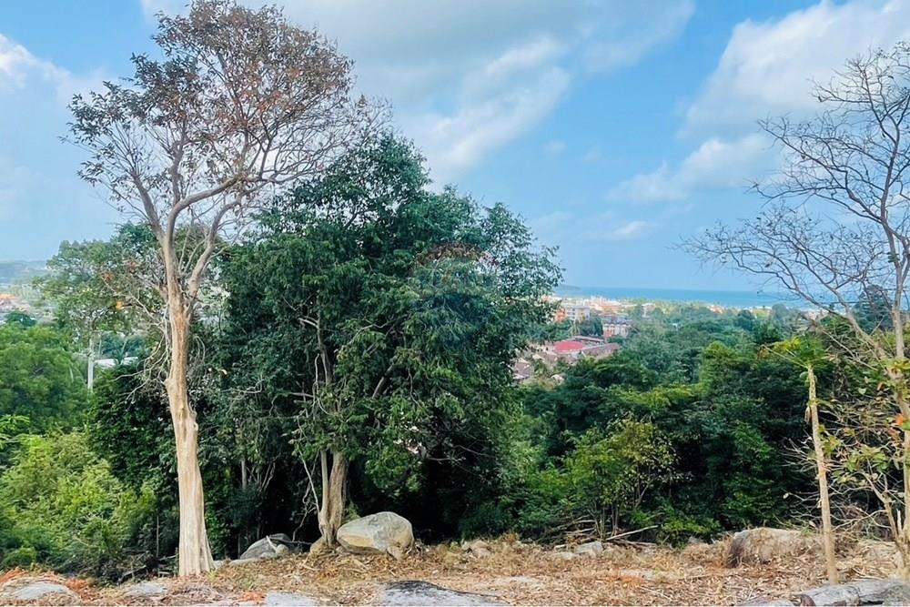 Land - Residential - For Rent/Lease - Koh Samui, Surat Thani - IMG_5793.jpeg - 920121079-45