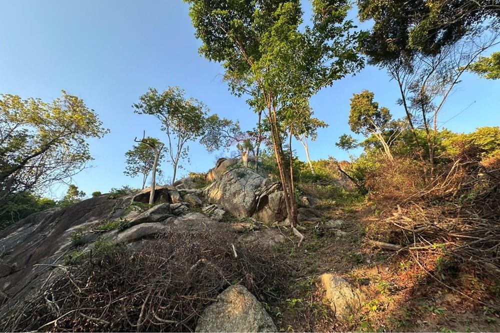 土地 - 出售 - Koh Pha Ngan, Surat Thani - WhatsApp Image 2026-03-13 at 12.05.02.jpeg - 920621004-171