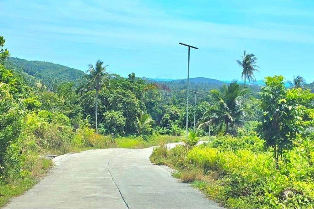 Land - Residential - For Sale - Koh Samui, Surat Thani - 003.jpg - 920121018-306