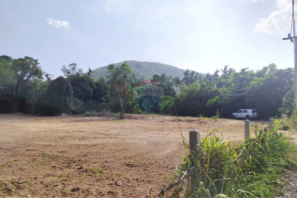 Land - Residential - For Sale - Koh Samui, Surat Thani - 655626_0.jpg - 920121075-106