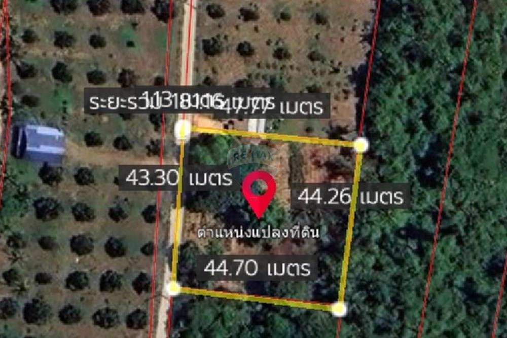 Land - Residential - For Sale - Koh Samui, Surat Thani - IMG_3283.jpeg - 920121079-31