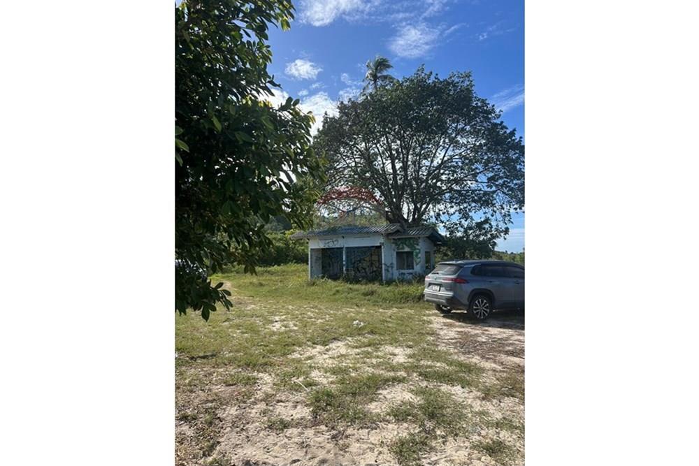 Land - Residential - For Sale - Koh Samui, Surat Thani - S__26820674_0.jpg - 920121030-278
