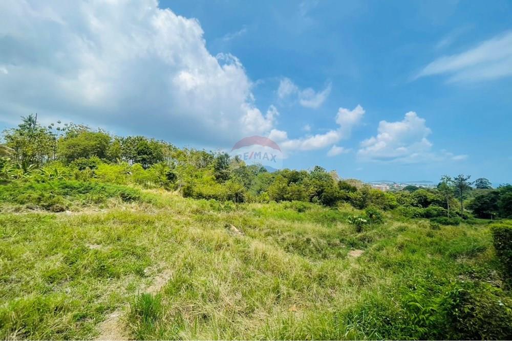 Land - Residential - For Rent/Lease - Koh Samui, Surat Thani - IMG_7069.jpeg - 920121079-50