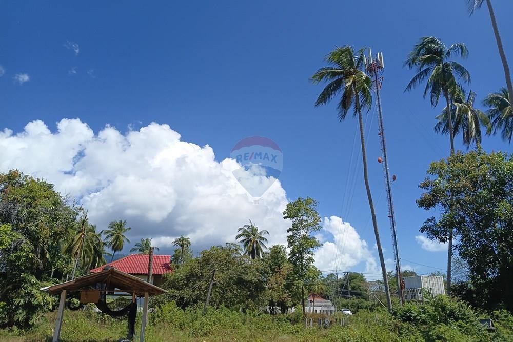 Land - Residential - For Sale - Koh Samui, Surat Thani - 20260228_111644.jpg - 920121087-11