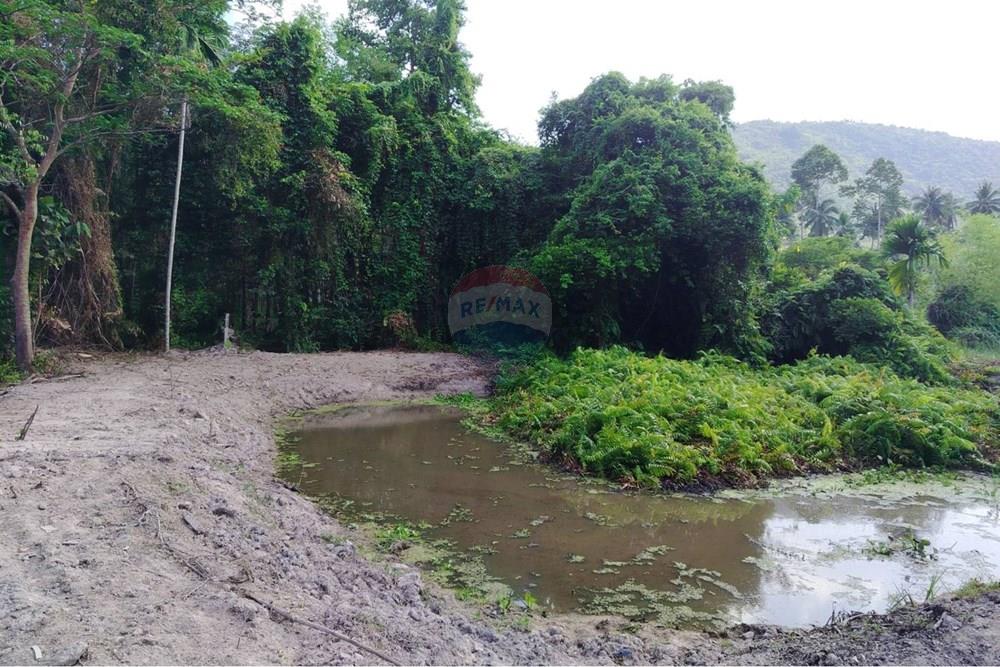 Land - Residential - For Sale - Koh Samui, Surat Thani - 655608_0.jpg - 920121075-106