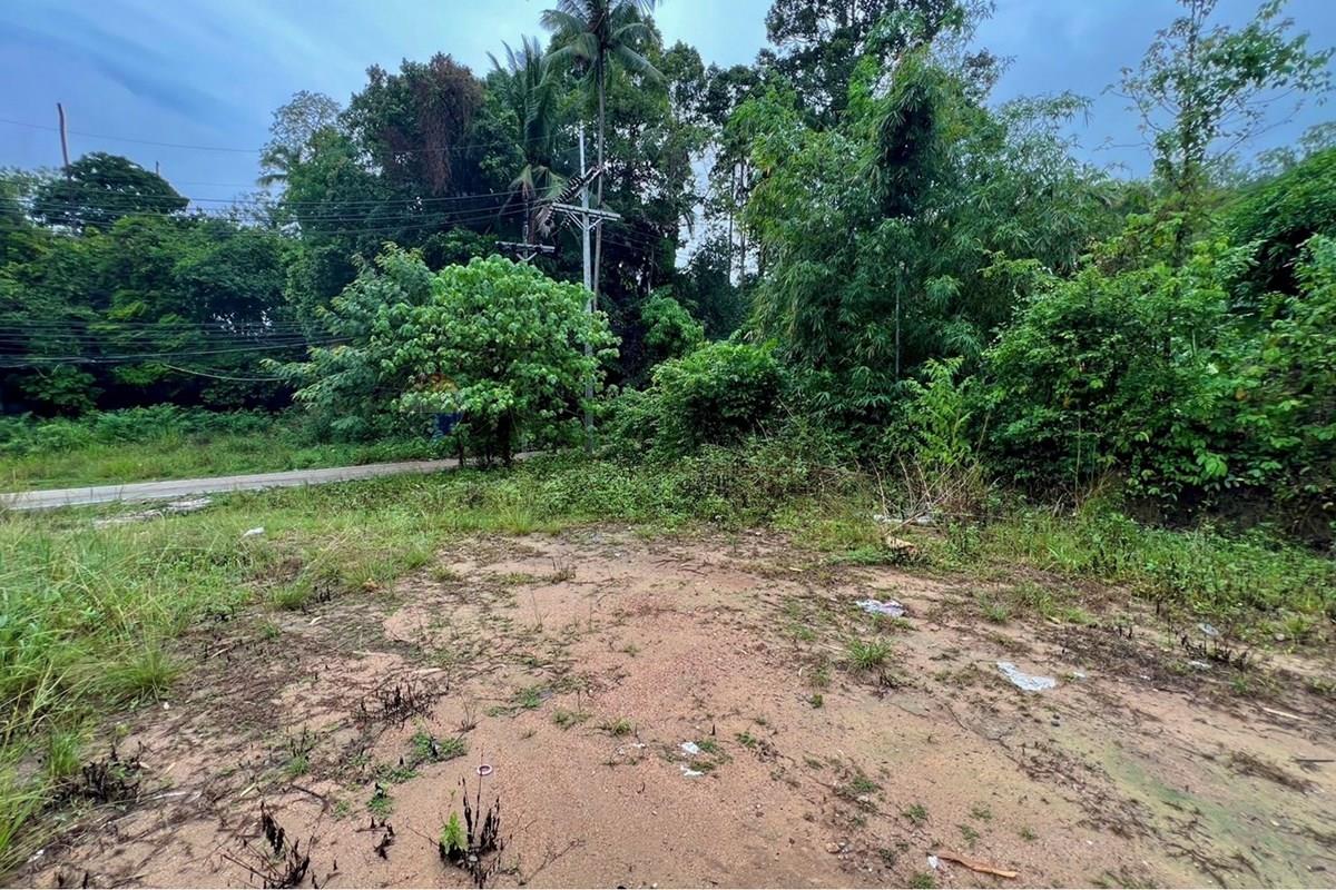 Land - Residential - For Sale - Koh Samui, Surat Thani - S__211861522_0.jpg - 920121030-305