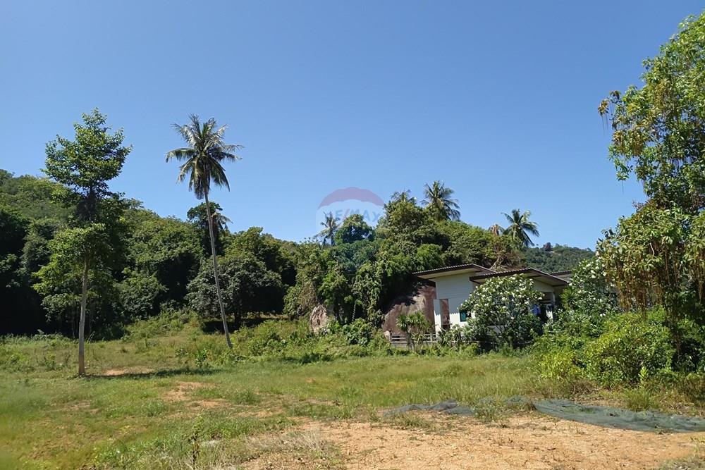Land - Residential - For Sale - Koh Samui, Surat Thani - 20260228_111519.jpg - 920121087-11