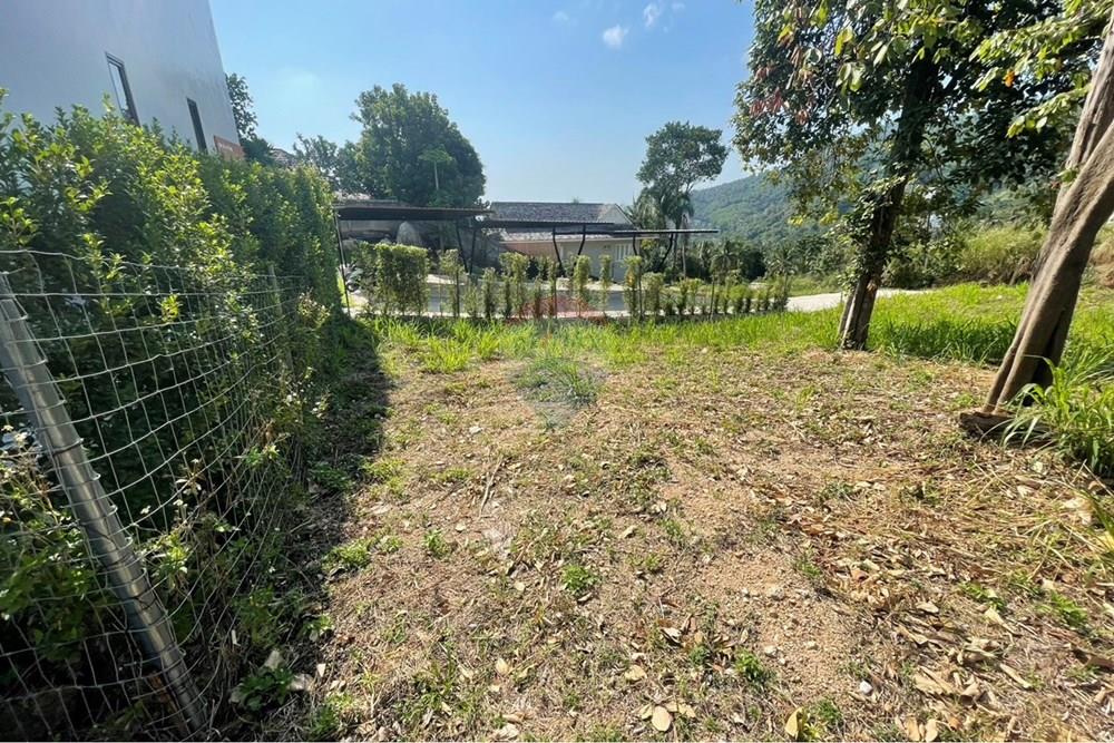 Land - Residential - For Sale - Koh Samui, Surat Thani - IMG_6349.jpeg - 920121079-48