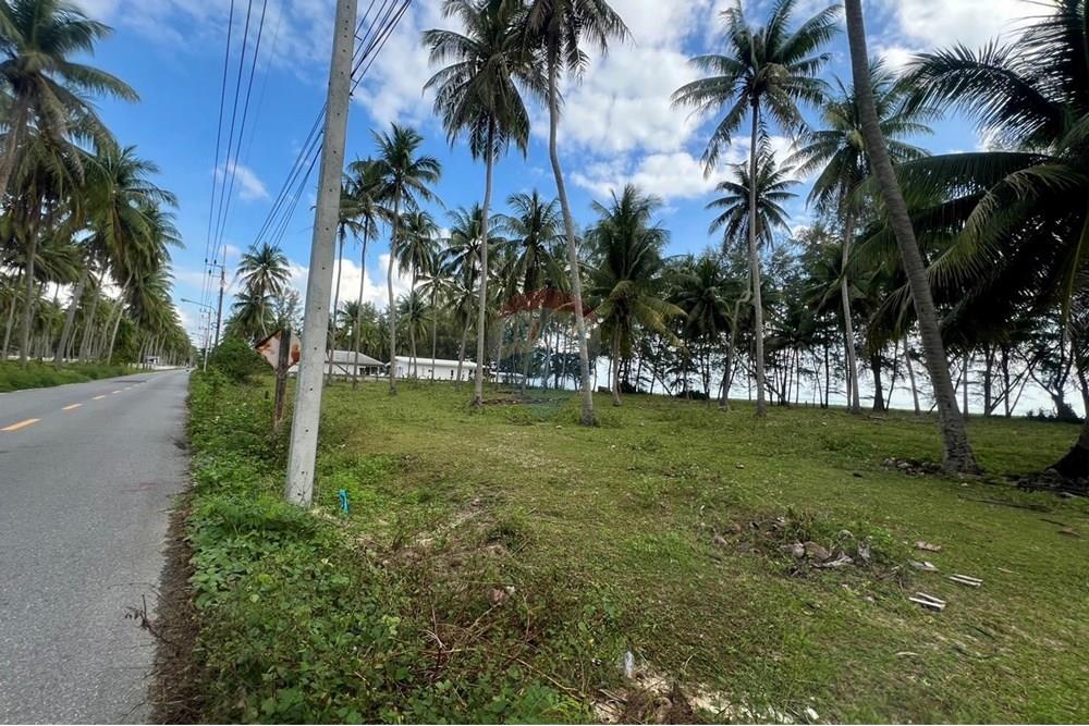Land - Residential - For Sale - Tha Sala, Nakhon Si Thammarat - S__201138192_0.jpg - 920121030-282