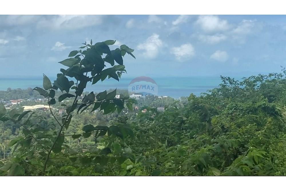 Land - Residential - For Sale - Koh Samui, Surat Thani - IMG_5669.JPG - 920121075-101