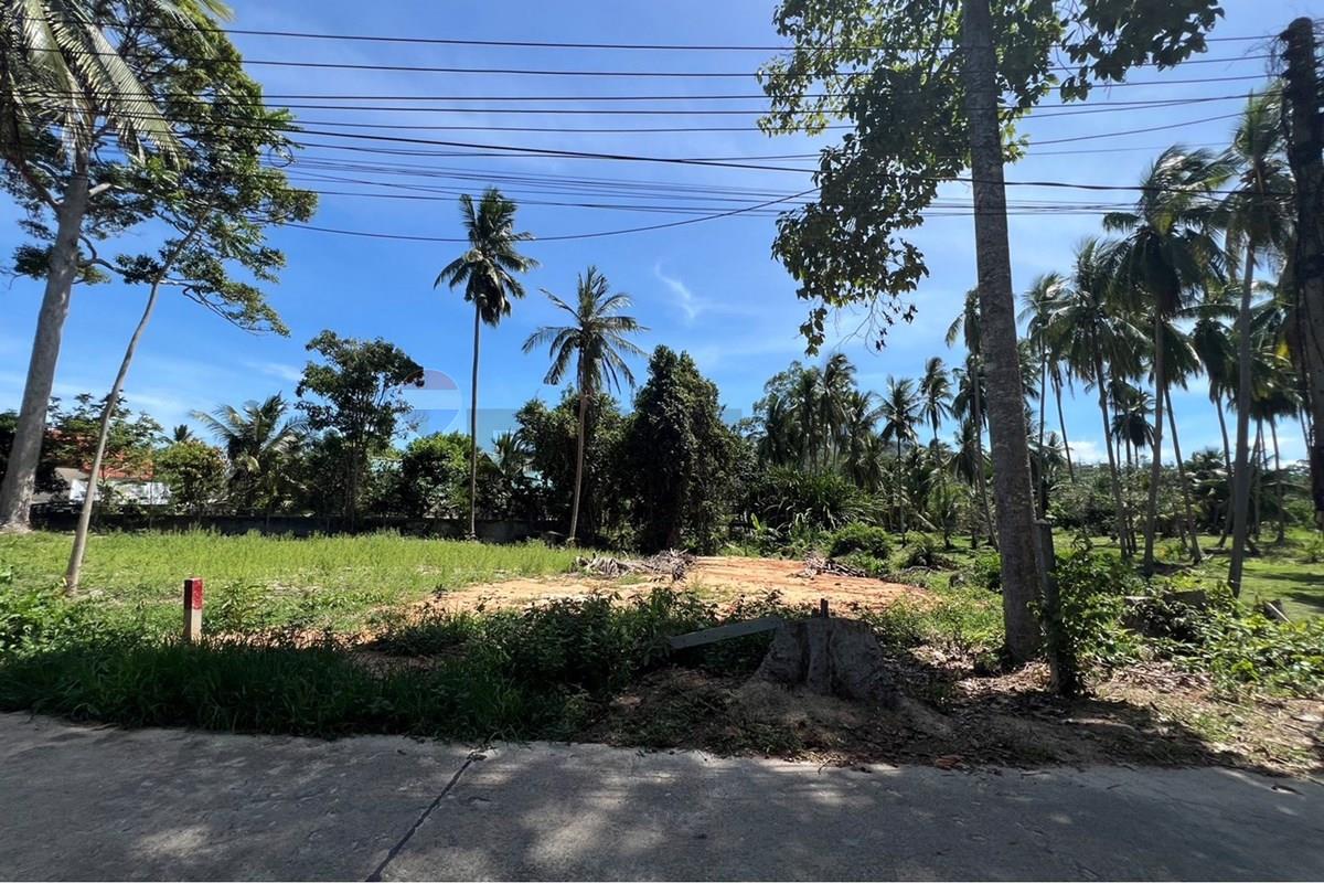 Land - Residential - For Sale - Koh Samui, Surat Thani - S__42434587_0.jpg - 920121030-308
