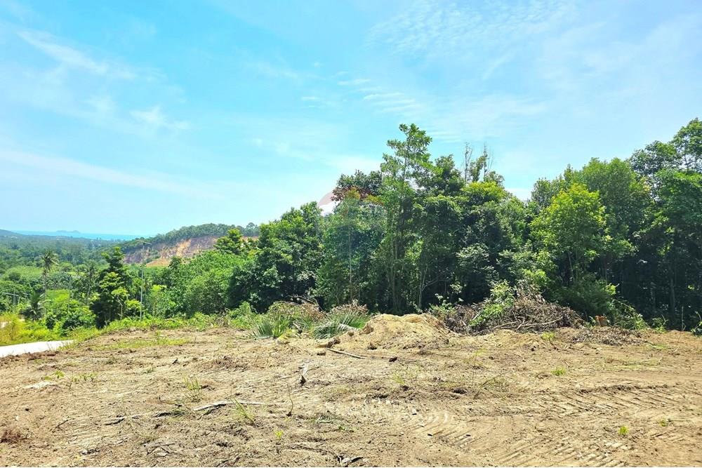 Land - Residential - For Sale - Koh Samui, Surat Thani - 010.jpg - 920121018-306