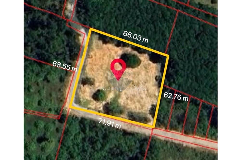 Land - Residential - For Sale - Koh Samui, Surat Thani - S__206626819_0.jpg - 920121030-298