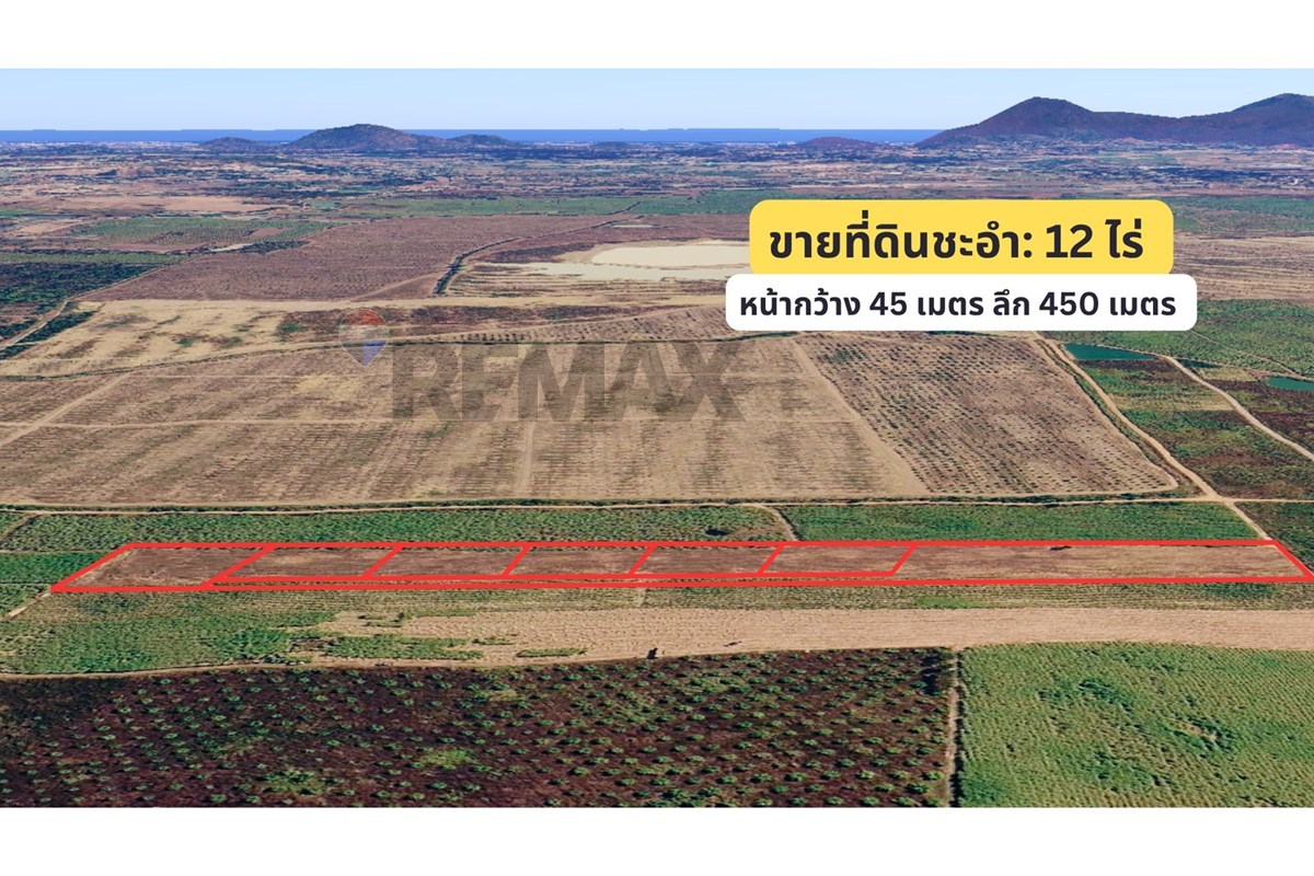 Land - Residential - For Sale - Cha-Am, Phetchaburi - 5.jpg - 920601001-1195