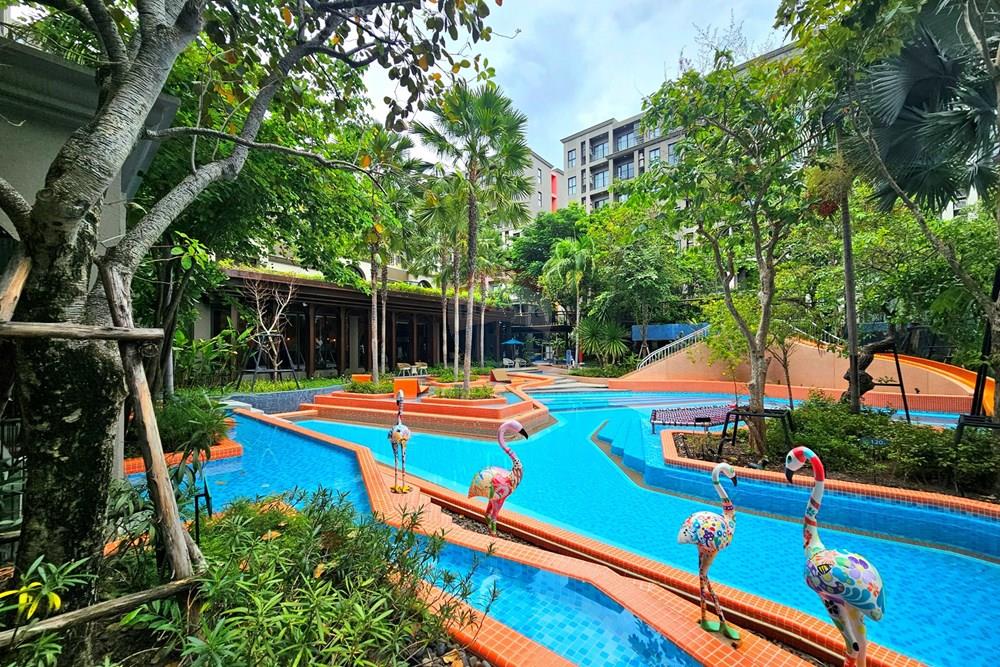 Condo/Apartment - For Rent/Lease - Hua Hin, Prachuap Khiri Khan - 20230831_113332.jpg - 920601001-1135