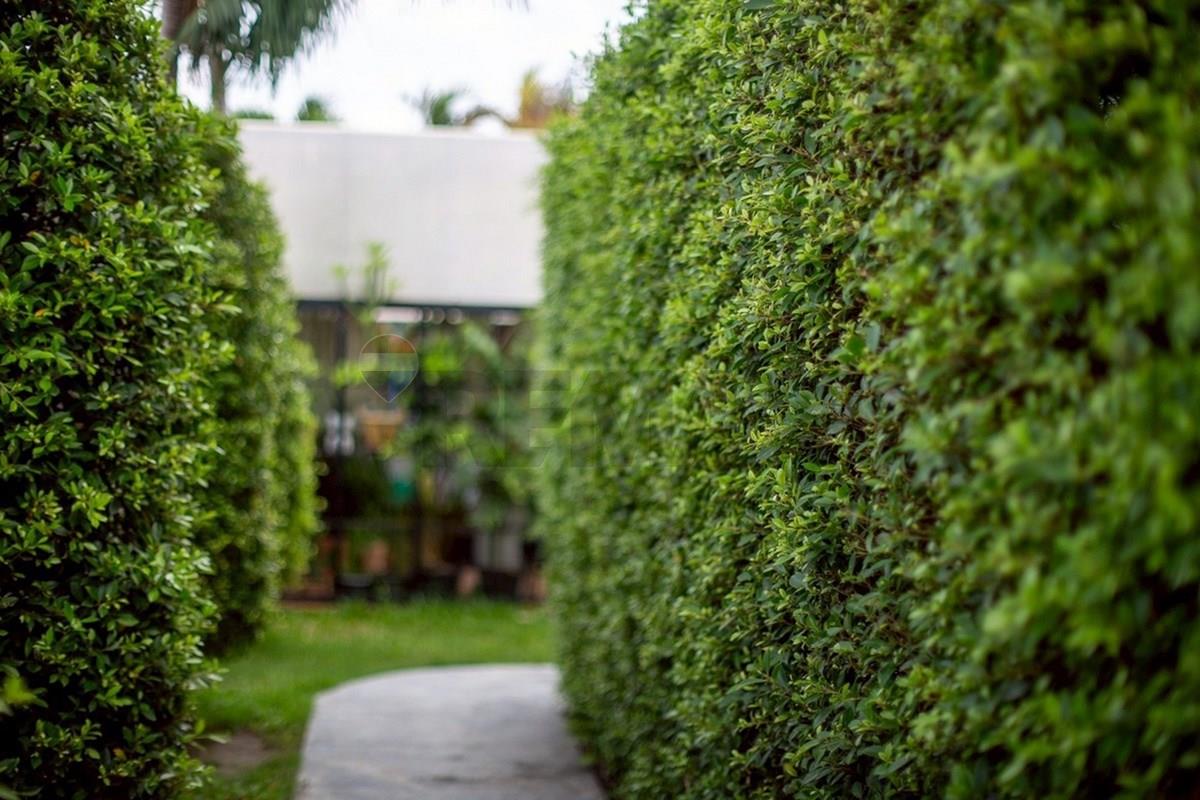 Villa - For Sale - Hua Hin, Prachuap Khiri Khan - S__112959567_0.jpg - 920601001-1148