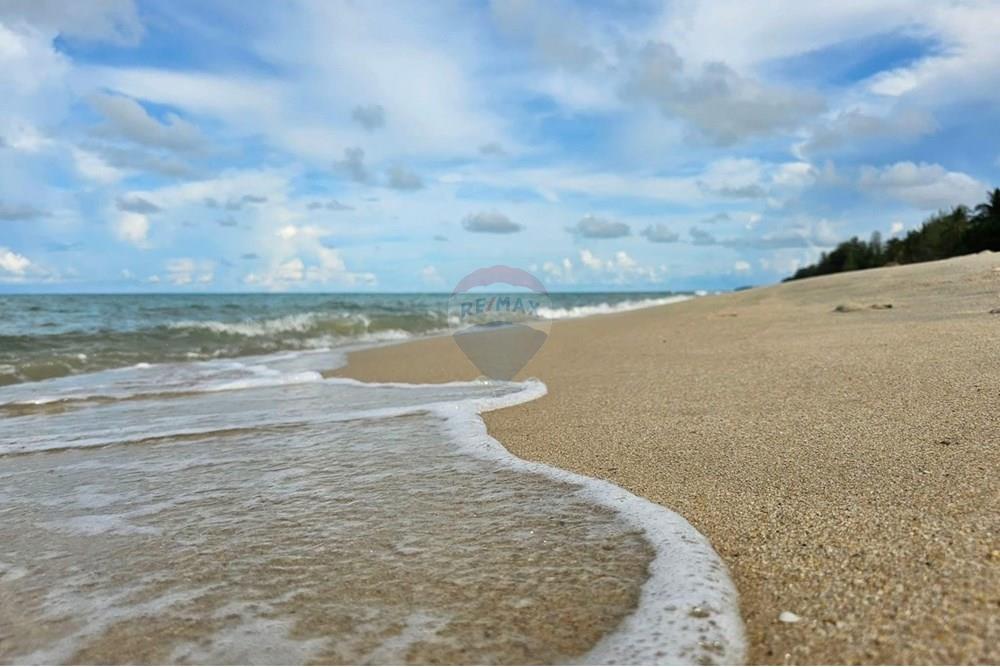 Land - Residential - For Sale - Tha Sala, Nakhon Si Thammarat - S__201138181.jpg - 920121030-282