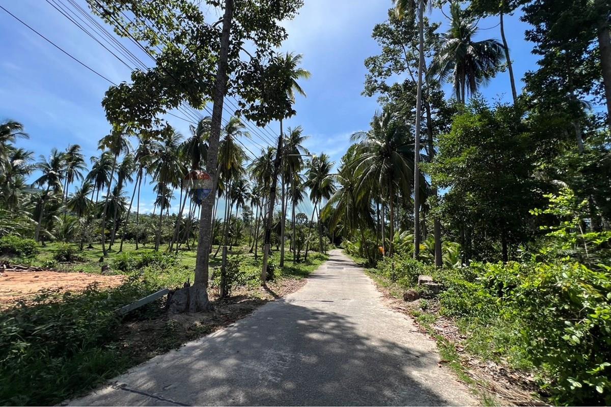 Land - Residential - For Sale - Koh Samui, Surat Thani - S__42434589_0.jpg - 920121030-308