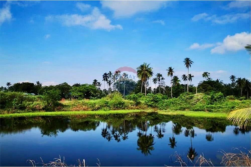 Land - Residential - For Sale - Tha Sala, Nakhon Si Thammarat - S__207192071_0.jpg - 920121030-299