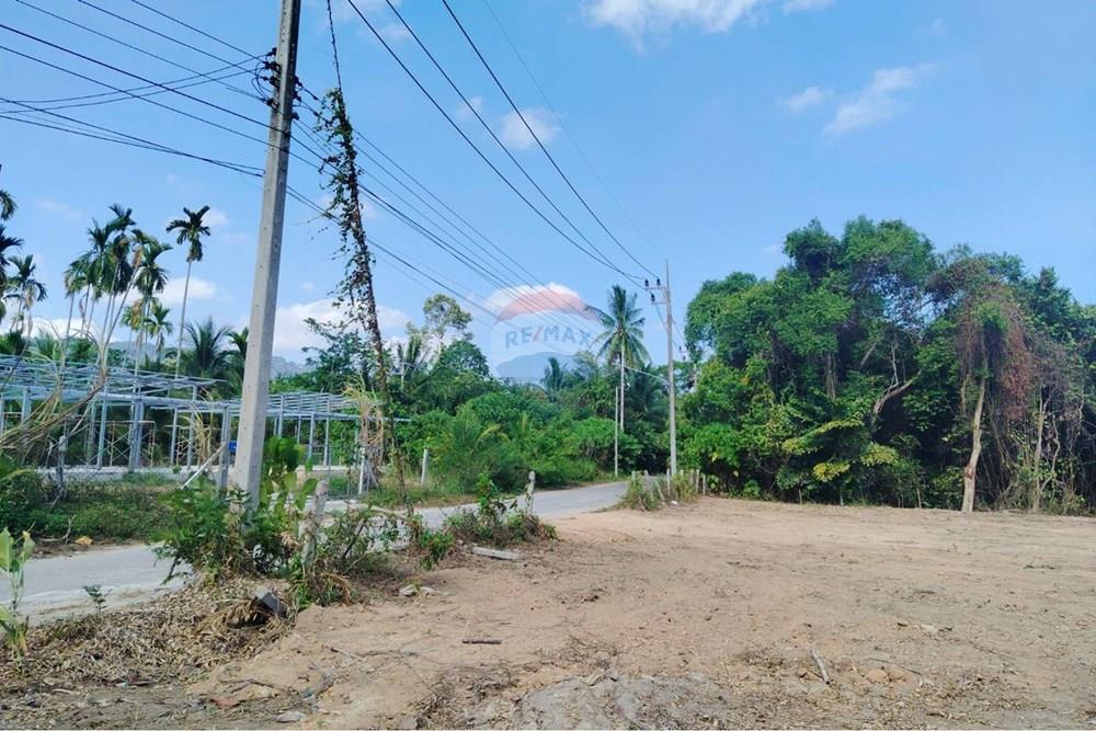 Land - Residential - For Sale - Koh Samui, Surat Thani - 655637_0.jpg - 920121075-106