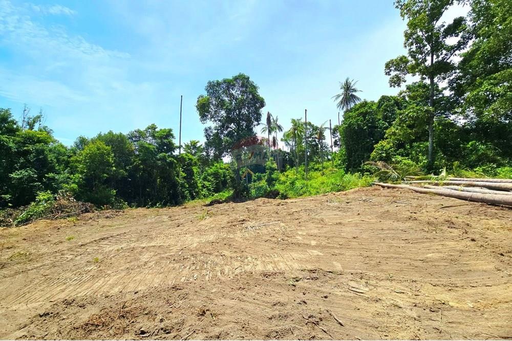 Land - Residential - For Sale - Koh Samui, Surat Thani - 009.jpg - 920121018-306