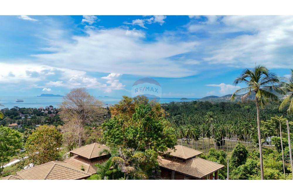 Land - Residential - For Sale - Koh Samui, Surat Thani - Copy of DJI_20251012140930_0075_D.jpg - 920121075-101