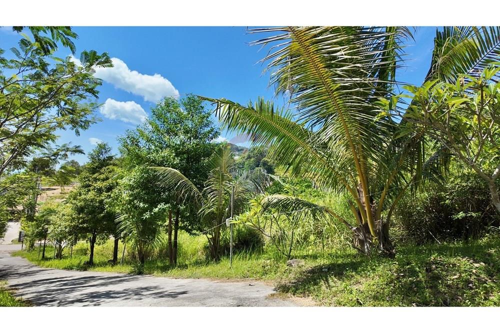 Land - Residential - For Sale - Koh Samui, Surat Thani - IMG_4865.JPG - 920121077-14