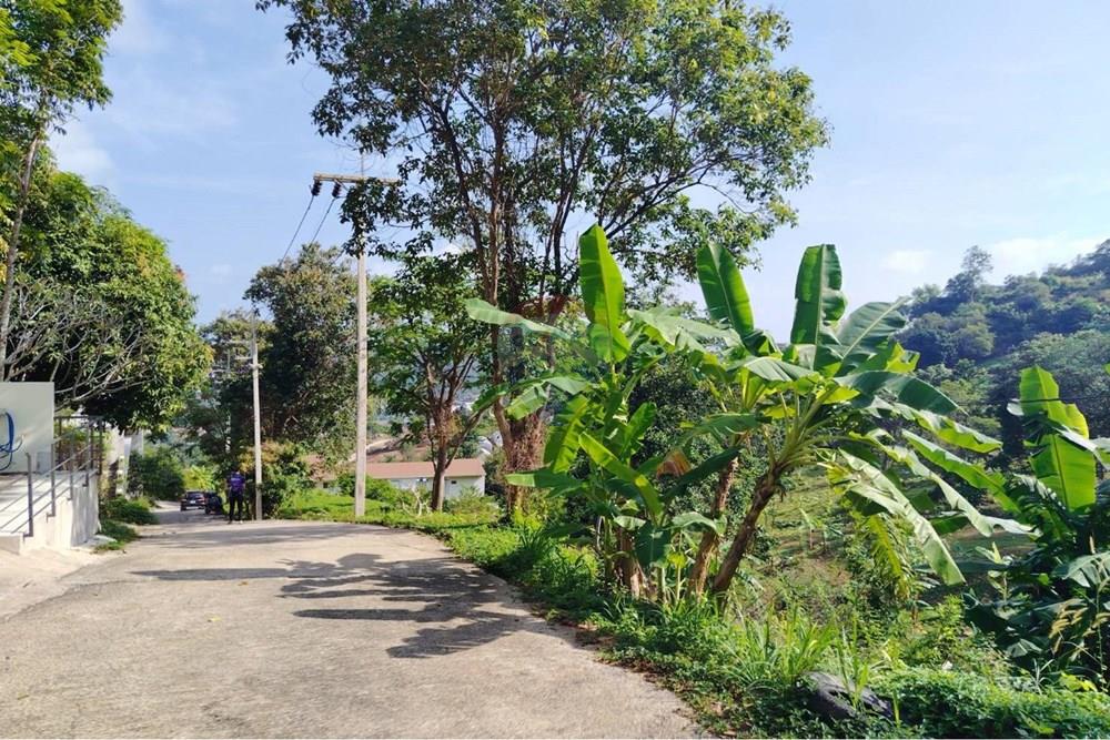 Land - Residential - For Sale - Koh Samui, Surat Thani - 627016_0.jpg - 920121075-92