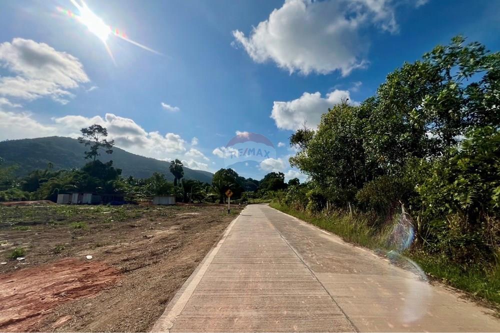 Land - Residential - For Sale - Koh Samui, Surat Thani - S__206618638_0.jpg - 920121030-298